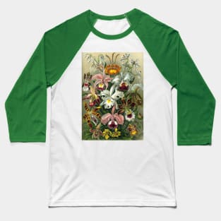 Orchids by Ernst Haeckel Baseball T-Shirt